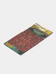 Колеус Блюме Скарлет (семена,цветы)