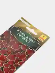 Колеус Блюме Скарлет (семена,цветы)