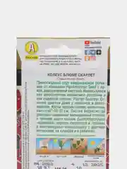 Колеус Блюме Скарлет (семена,цветы)