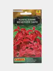 Семена цветов Колеус "Вечерняя заря"