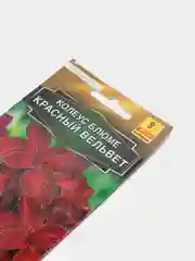 Семена цветов Колеус "Красный вельвет"