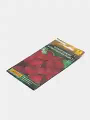 Семена цветов Колеус "Красный вельвет"