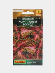 Семена цветов Колеус "Коралловый восход"