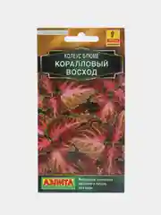 Семена цветов Колеус "Коралловый восход"