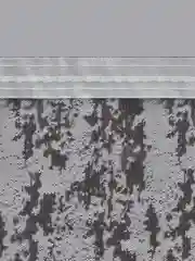 Белый полупрозрачный мраморный тюль