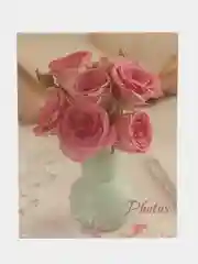 Бежевый фотоальбом 100 фото, 10х15, "Цветы", твёрдая обложка