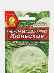Семена капуста пекинская, капуста цветная, капуста ранняя 5в1, набор семян
