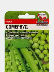 Горох семена 3 пачки, семена гороха Сибирский Сад