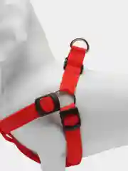 Шлейка для собак, светящаяся светодиодная