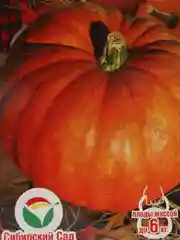 Семена Тыква "Медовый десерт"
