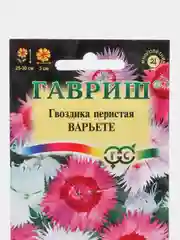 Семена цветов Гвоздика перистая "Варьете", 0,1 г
