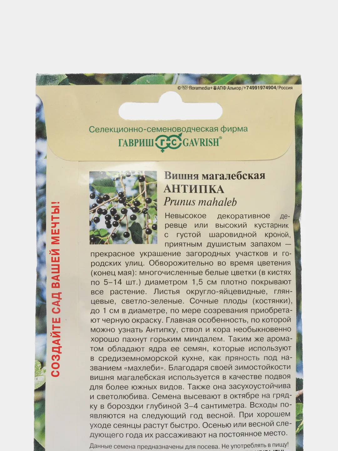 Вишня Антипка магалебская, семена, "Гавриш" 1 гр