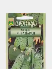 Семена огурец Манул "Балаган F1", 10 штук