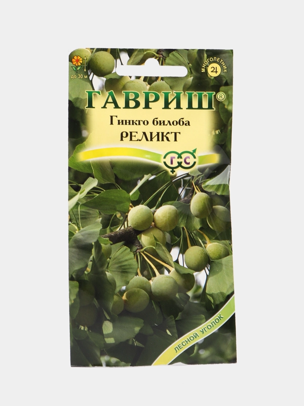 Семена гингко билоба Гавриш "Реликт",  2 штуки