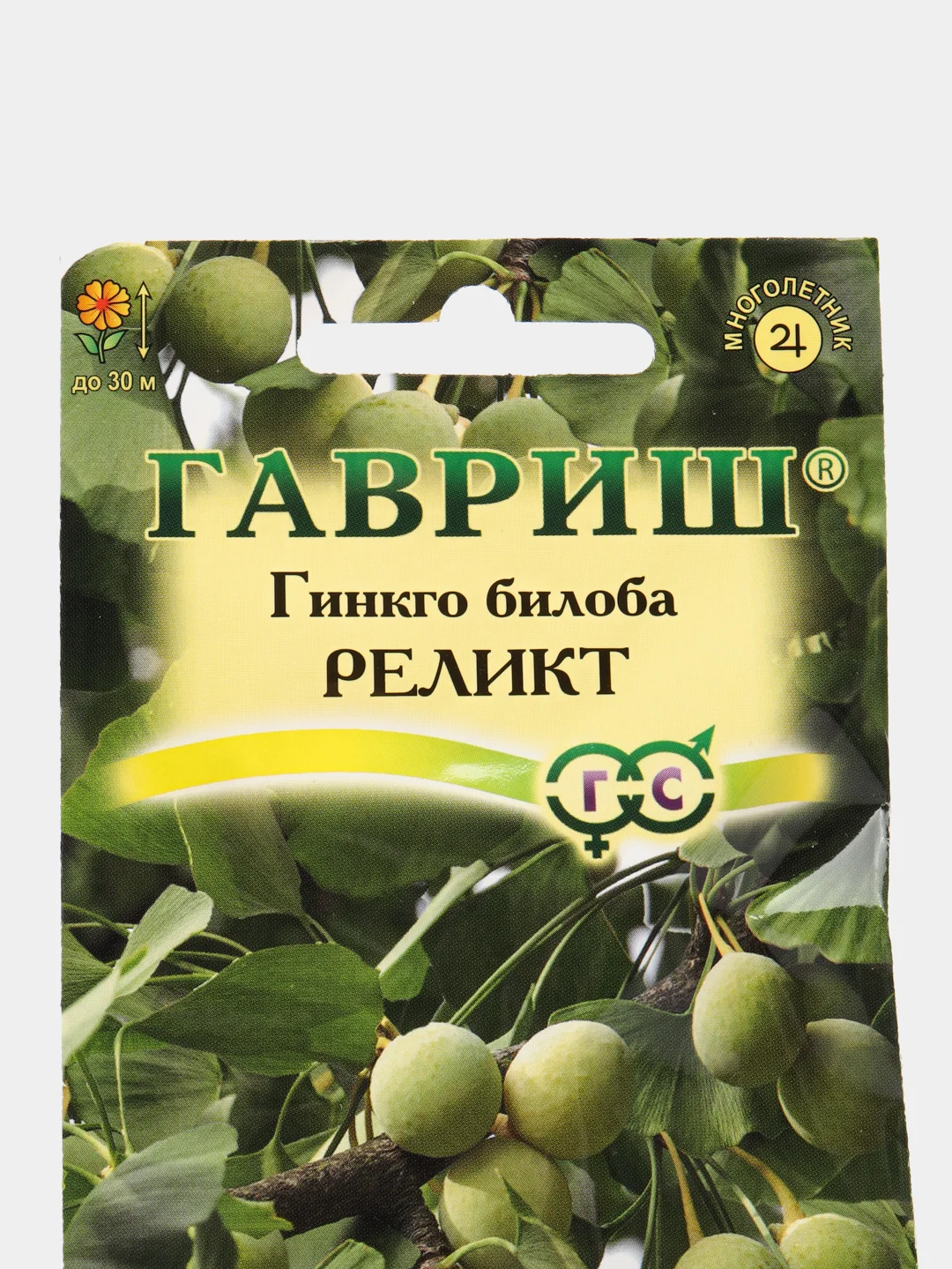 Семена гингко билоба Гавриш "Реликт", 2 штуки