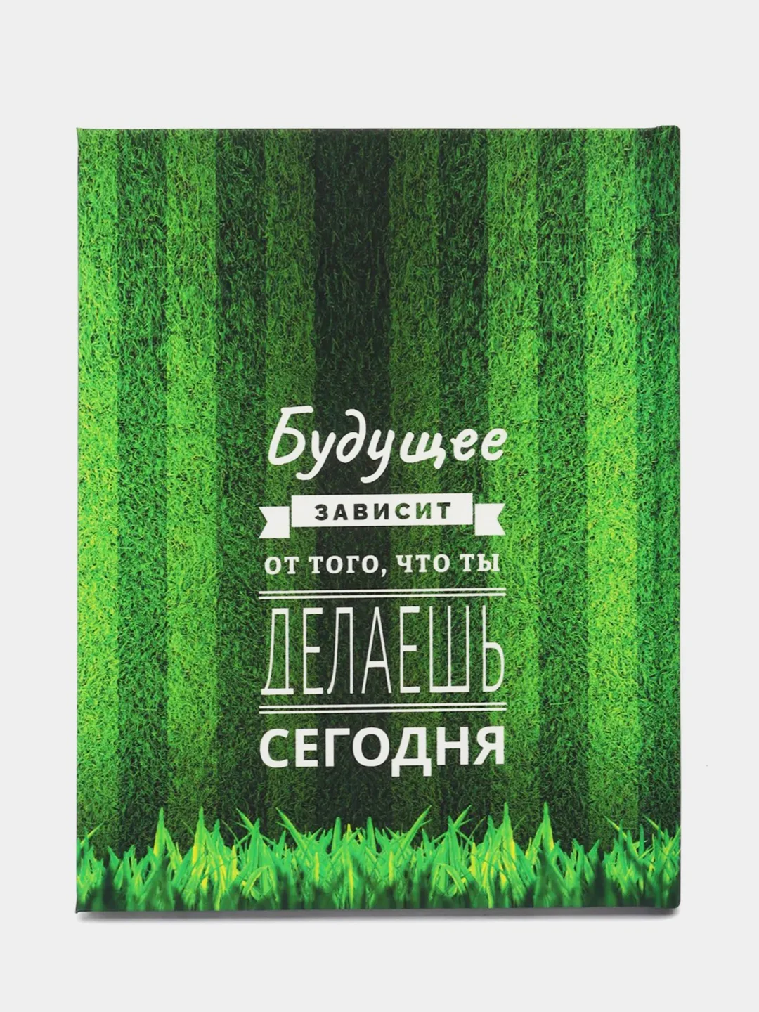Подарочный набор для тренера по футболу (блокнот/ежедневник тренера, ручка)