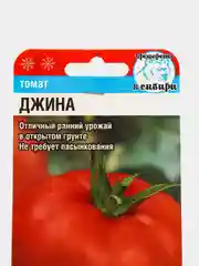 Томат Сибирский сад "Джина", 20 штук