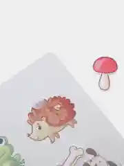 Белый игры на липучках