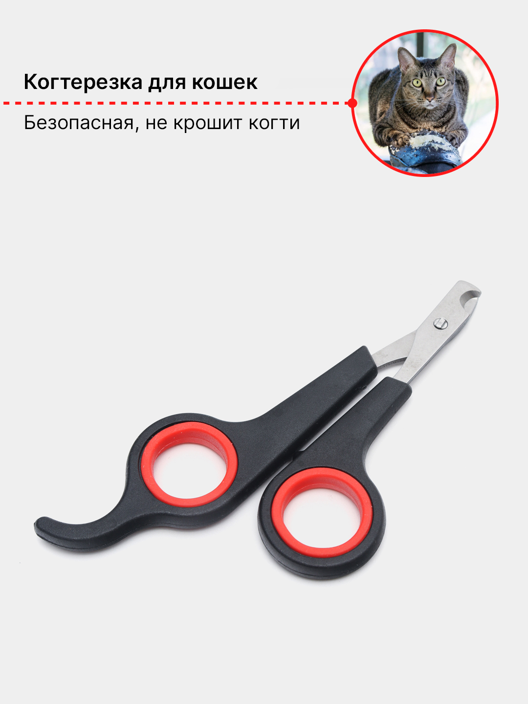 Когтерез-секатор, ножницы для кошек и собак мелких пород купить по цене 96  ₽ в интернет-магазине KazanExpress
