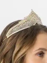 Золотой диадема, корона