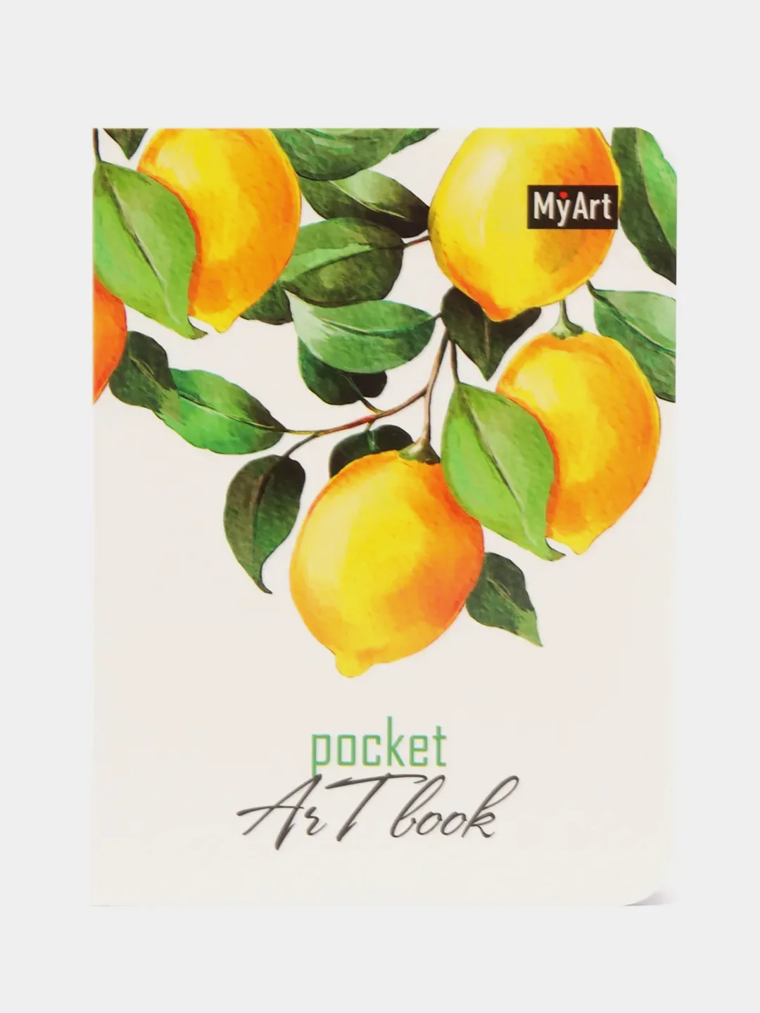 Бронзовый скетчбук MyArt Pocket Artbook, А6, без линовки, 100 г/м2, 80 листов. Проф-Пресс