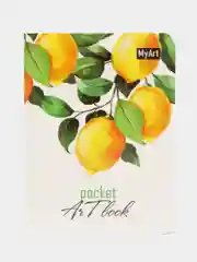 Бронзовый скетчбук MyArt Pocket Artbook, А6, без линовки, 100 г/м2, 80 листов. Проф-Пресс