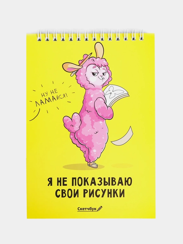 Скетчбук "Я не показываю свои рисунки" А5, 40 листов