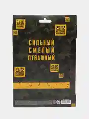Набор "День настоящих героев": ежедневник и ручка