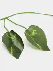 Оливковый декоративная лиана, виноградная, плющ искусственный, цветы