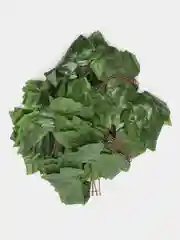Лайм декоративная лиана, виноградная, плющ искусственный, цветы