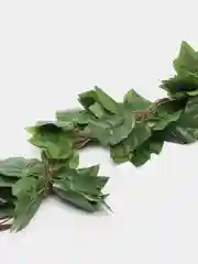 Лайм декоративная лиана, виноградная, плющ искусственный, цветы