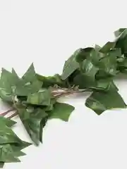 Зелёный хаки декоративная лиана, виноградная, плющ искусственный, цветы