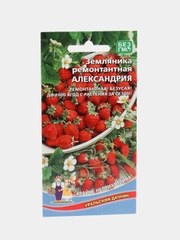 Земляника ремонтантная "Александрина альпийская" / УД