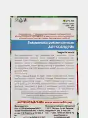 Земляника ремонтантная "Александрина альпийская" / УД
