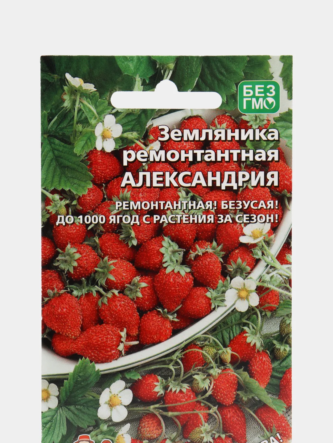 Земляника ремонтантная "Александрина альпийская" / УД