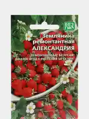 Земляника ремонтантная "Александрина альпийская" / УД