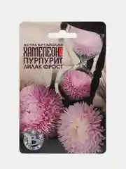 Семена Астра китайская "Хамелеон Пурпурит лилак фрост" набор 1, 2, 3, 5 уп