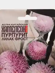 Семена Астра китайская "Хамелеон Пурпурит лилак фрост" набор 1, 2, 3, 5 уп