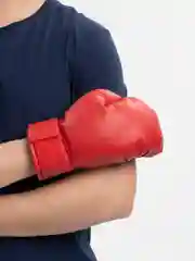Красный перчатки боксерские "Устюг спорт"