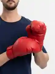 Красный перчатки боксерские "Устюг спорт"