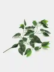 Фикус искусственный для интерьера