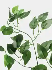 Фикус искусственный для интерьера