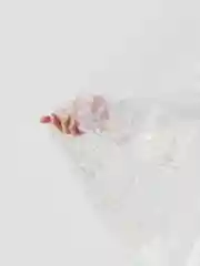 Свадебная фата "Блеск" Romantic Wedding