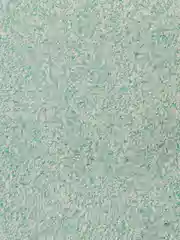 Бирюзовый жидкие обои Avrora (Аврора) - 020 SILK PLASTER
