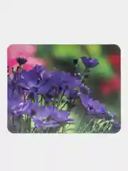 Фиолетовый коврик для компьютерной мыши