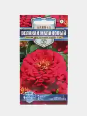 Фуксия семена цветов Цинния