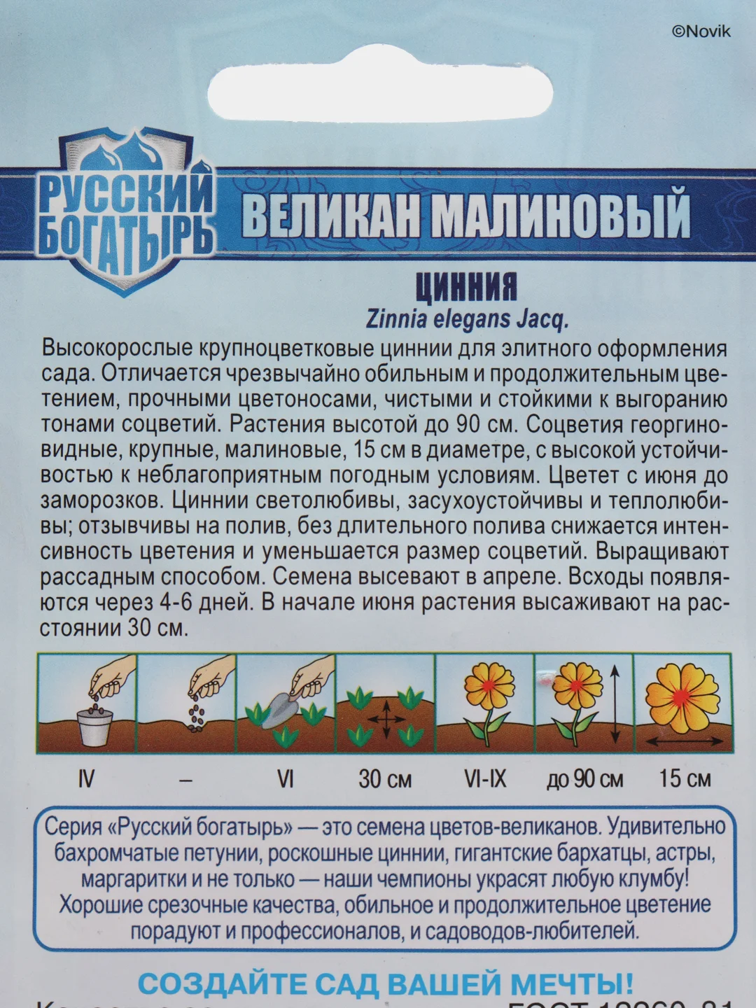 Фуксия семена цветов Цинния