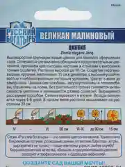Фуксия семена цветов Цинния