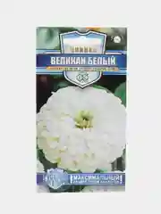 Белый семена цветов Цинния