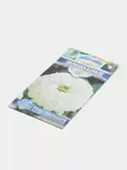 Белый семена цветов Цинния